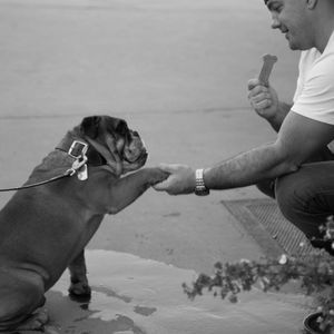 Meet your Posher, Ben